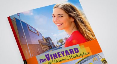 Vineyard-Brochure_cover